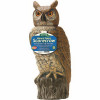 18" Owl with Rotatating Head
