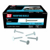 LB 1" EG ROOF NAIL