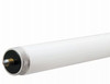 59W 8' T8 CW FLUOR Tube (15 pieces)