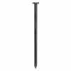 50LB 12D BRT COMM NAIL