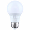 40W A19 LED 5CCT Bulb