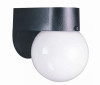 Canarm 11 In. White Incandescent Flush Mount Ceiling Light Fixture