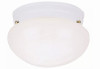 Canarm 9-1/2 In. White Incandescent Flush Mount Ceiling Light Fixture