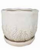 7.25 WHT SOFIA PLANTR