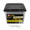30LB 8D CTD SNK NAIL