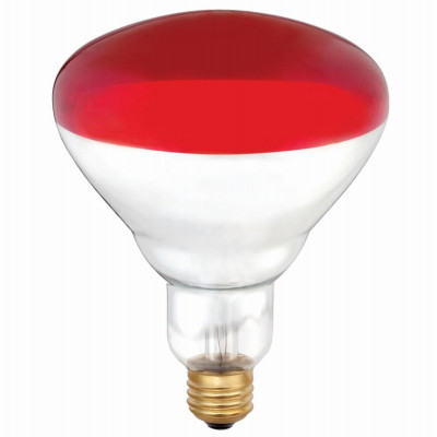 Heat Lamp, Flood Beam, Dimmable, R40, Red, 250-Watts