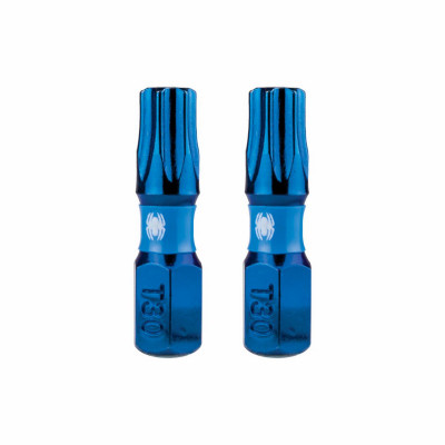 T30 Torx Impact Driver Bits, 1 In., 2-Pk.
