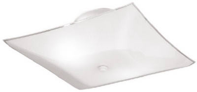 2-Light Ceiling Fixture