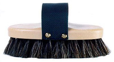 Horse Brush, Oval, 7-5/8 x 3-5/8 In.