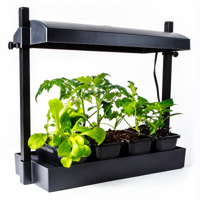 Micro LED Grow Light Garden, Black (6 pieces)