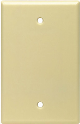 IV BLANK WALL PLATE
