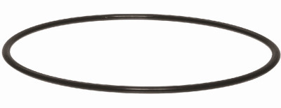 Water Filter Housing O-Ring, 3/4-In.