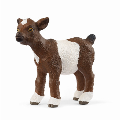 Goat kid