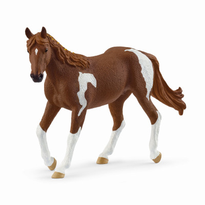 Paint Horse mare
