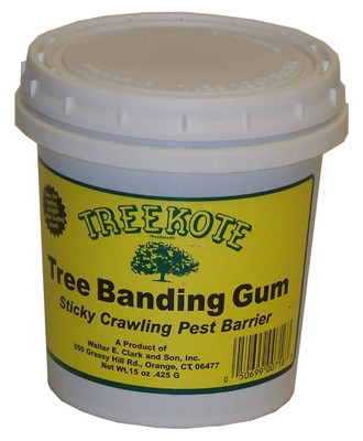 Tree Banding Gum, 15 oz.