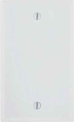 1G WHT BLANK WALLPLATE
