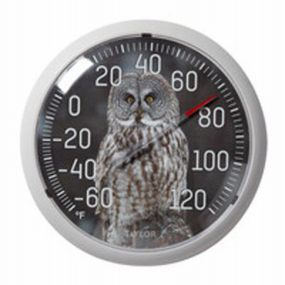 Owl Thermometer, 13.25 In. Round