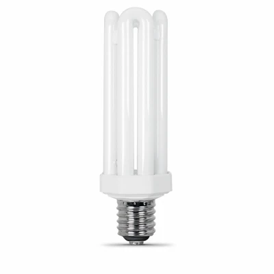 Compact Fluorescent Bulb, Natural Daylight, 4550 Lumens, 60-Watts (6 pieces)
