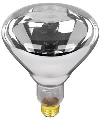 Heat Lamp, R40, 250-Watts