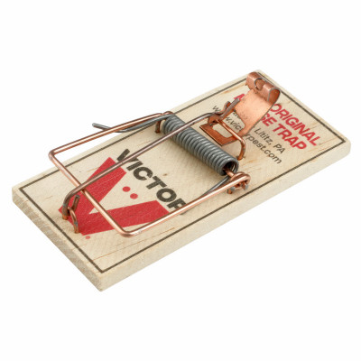 Metal Pedal Mouse Trap, 2-Pk.