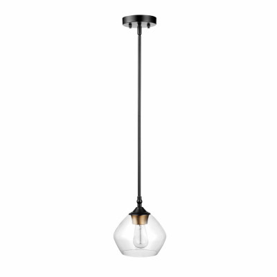 Harrow 1-Light Pendant Lighting, Matte Black