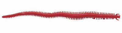 Berkley Gulp! SW Sandworm 2in. Bloody