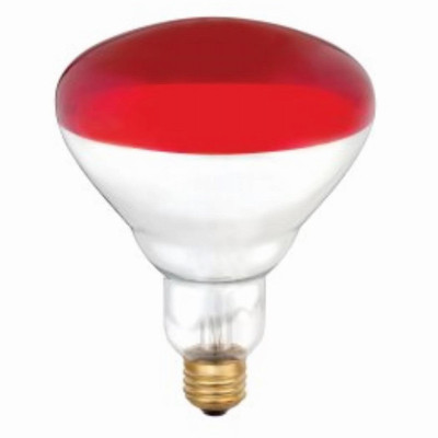 Infrared Incandescent Heat Lamp, Red, R40, 250 Watts, 6-Pk.