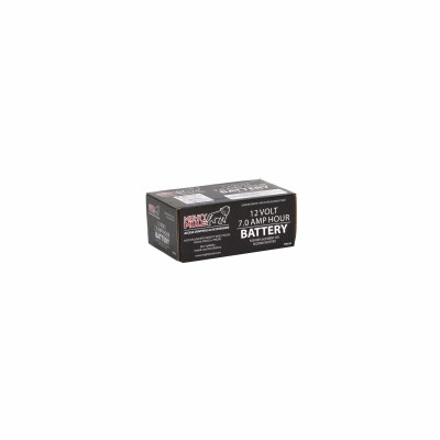 Electric Fence Battery, 12-Volt