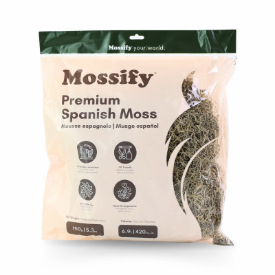 150g Premium Natural Spanish Moss Bag