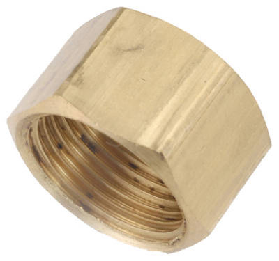 Cap, Brass, Compression, 1/4 In. (10 pieces)