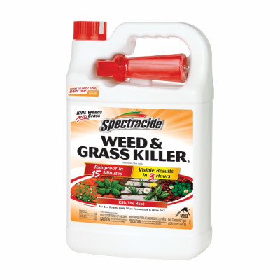 Weed & Grass Killer Ready-to-Use, 1-Gallon
