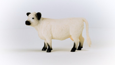 Galloway Cow Toy Animal Figure, Ages 3 & Up (5 pieces)