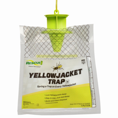 Disposable Yellow Jacket Trap