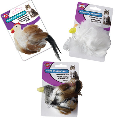Bird Cat Toy, Assorted