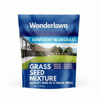 Kentucky Bluegrass 1lb