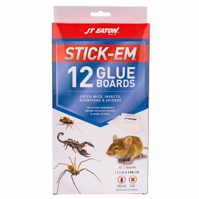 12PK GLUE BOARD