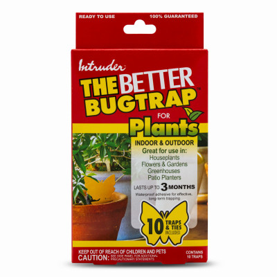 Intruder The Better BugTrap for Plants (10-Pack)