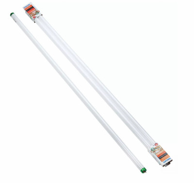 2PK 4' T8 BW FLUOR Tube