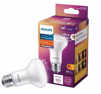 45W R20 SW WG LED Bulb