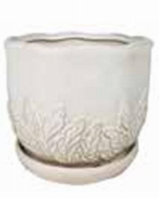 7.25 WHT SOFIA PLANTR