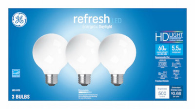 LED Globe Light Bulbs, DayGlobe Light, 500 Lumens, 5.5 Watt, 3-Pk.