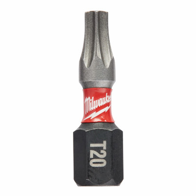 T20 Torx Power Bit, 1 In. (25 pieces)