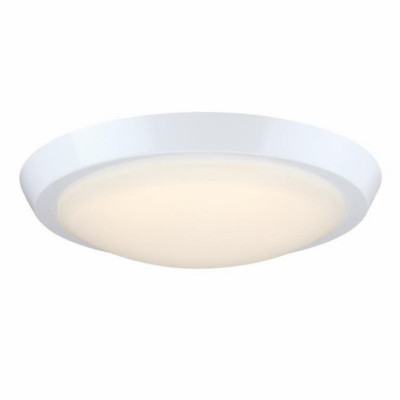 11" WHT Morrell Light