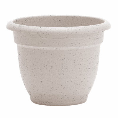 8" Bean Ariana Planter (10 pieces)