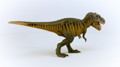 Tarbosaurus Tyrannosaur Dinosaur Toy Animal Figure, Ages 3 & Up (2 pieces)