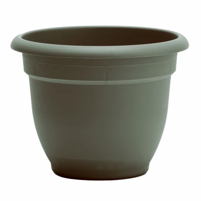12"Basil Ariana Planter (10 pieces)