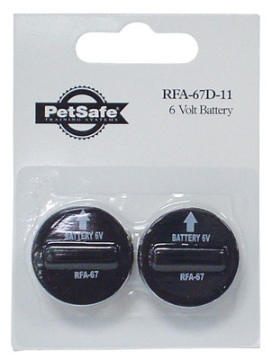 Lithium Batteries, 2-Pk., 6-Volt