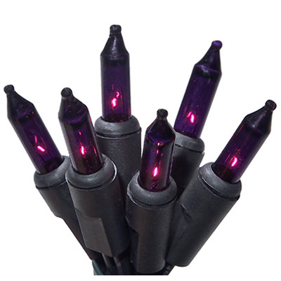 Halloween 100-Ct. Light Set, Purple
