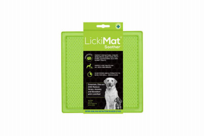 Soother Dog Feeder, Green