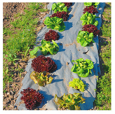Biodegradable Natural Weed Barrier Fabric, 3 x 40-Ft.